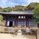 청룡사