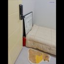 모어스테이 이미지