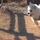 베테랑목장 이미지