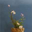 우리화원 이미지