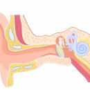연세보청기센터 이미지