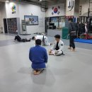 팀 매드 이미지