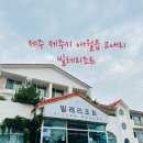빌레리조트 | 제주도 애월읍 가성비 좋은 펜션 빌레리조트 다녀왔답니다.