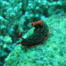 바다랜드 이미지