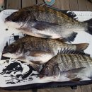 바다내음펜션 이미지