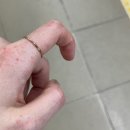 댕댕미용 이미지