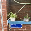 발코니가든