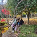 선암어린이집 이미지