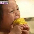 신촌갈비 - 파주시 새꽃로 199 | 신촌갈비