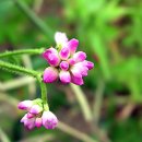 그대발길머무는곳에 이미지