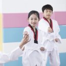 고려체대태권도 네이버블로그