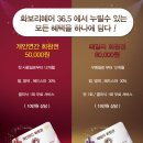 화보리헤어36.5 네이버블로그