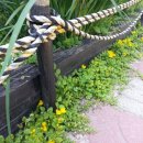 옐로우 펜션 이미지