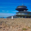 운반미 | 트라이신C 세기미앰플 후기 트라넥삼산 효과