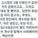 1인 가구가 우울하지 않게 살 수 있는 집 크기 이미지