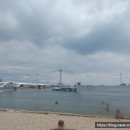 스타벅스 부산송도해수욕장점 이미지