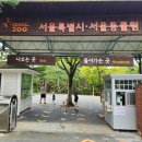 ㈜콘도르 | 서울대공원 동물원 북문입구 주차장 입장료 할인 다자녀무료 리프트 호랑이버스 식당 지도