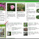 더미소공인중개사사무소 이미지