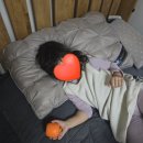 송림세탁 이미지
