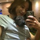 애견사랑 이미지