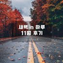 하루in | 새벽in하루 11월 후기