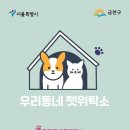 행복하개 이미지