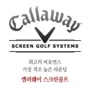 연스크린골프 이미지