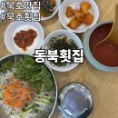 묵호항매립지(묵호수변공원) | 묵호횟집 동북횟집 묵호항 맛집 물회 회덮밥 내돈내산 후기