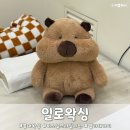 일로 | 홍대왁싱 일로왁싱 홍대점 퍼스널 브라질리언 후기