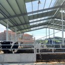 병인목장 이미지