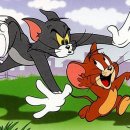 톰과제리 이미지