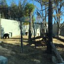 전주동물원 이미지