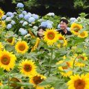 이순구 농장 이미지