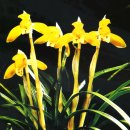 곡성-052 이미지