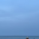 동백바다 이미지