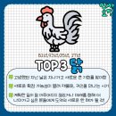 2024년 대박나는띠TOP3 이미지