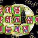 야키토리하코