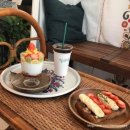 혜야사진관 | 2025년 2월 4주차 주간일기