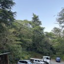 섬 | 블랙야크 섬앤산 인증 부산 봉래산 복천사 왕복 코스 최단코스 후기⛰️🐟
