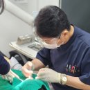 NY치과의원 이미지