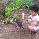 건호농장 이미지