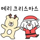 #나쌤