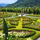 (축제) "가을에만 볼 수 있는 26만㎡ 꽃 정원" 유네스코도 인정한 58일간의 가을꽃 축제 이미지