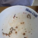 슬로우캘리 이미지