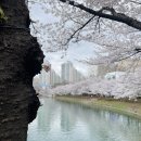 식구 - 여수시 강남해안로 11 | 식구