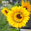 그레이스피엠