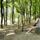 대청공원 공중화장실 이미지