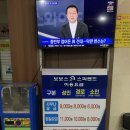 보보스랜드 네이버블로그