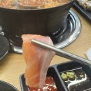 싱싱종합어시장 | 이천 횟집 추천 싱싱종합어시장 후기 (활어회, 오마카세, 매운탕 솔직 리뷰)