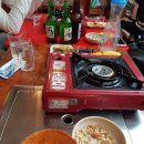 복숭아꽃 살구꽃 이미지